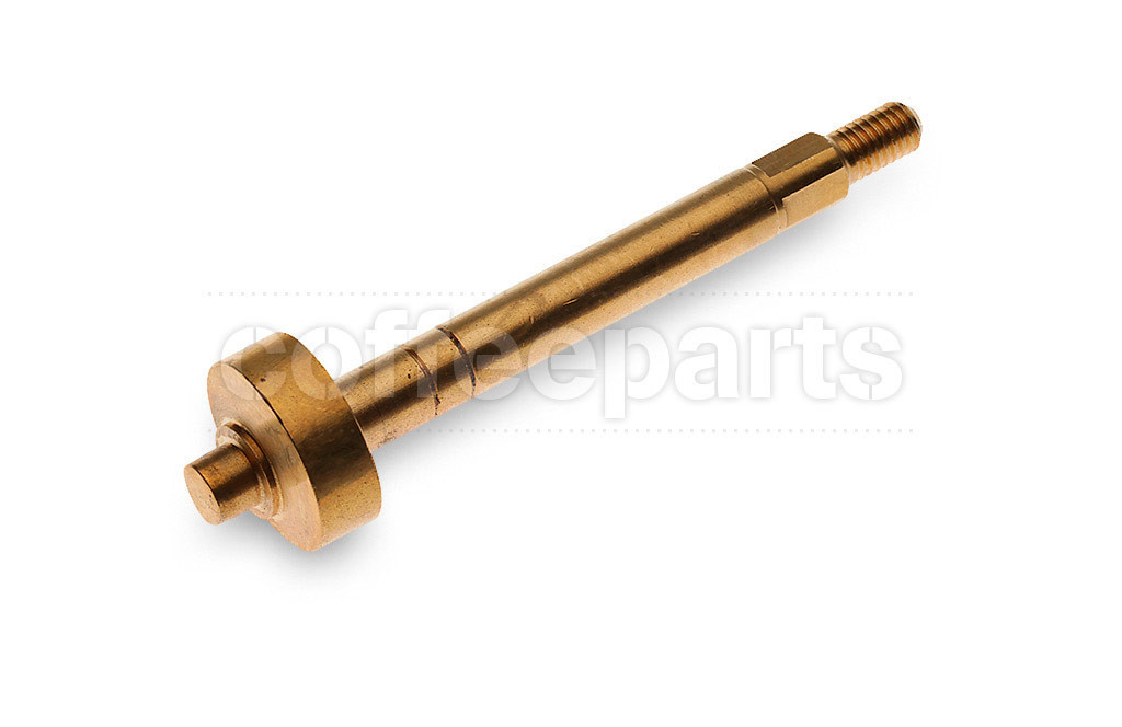 Group stem cam p6