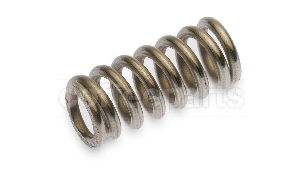 Spring holder tube steam
