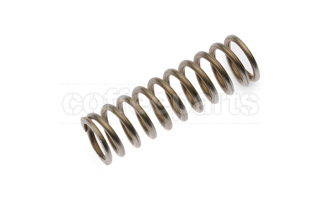 Steam valve spring
