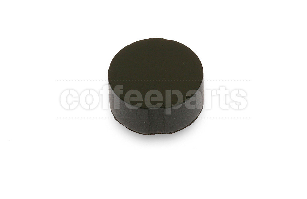 Viton gasket