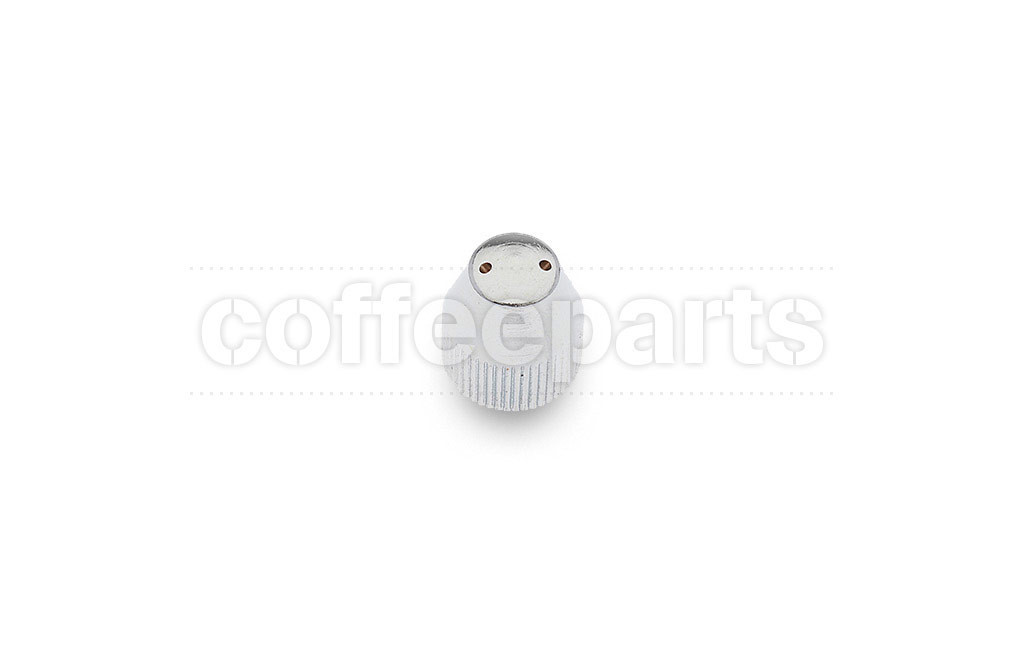 2 hole steam tip (10mm female thread)