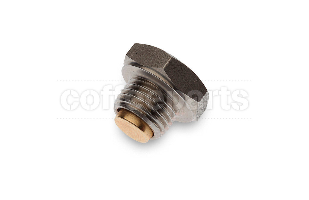Boiler anti vacuum valve with 1/4 inch bsp thread