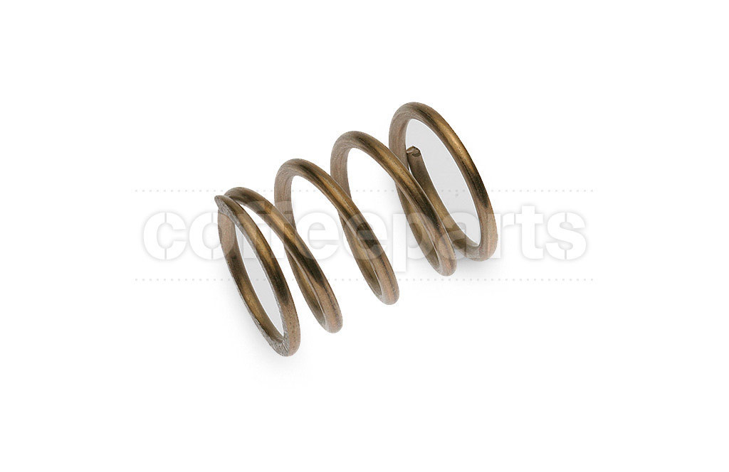 Steam valve spring
