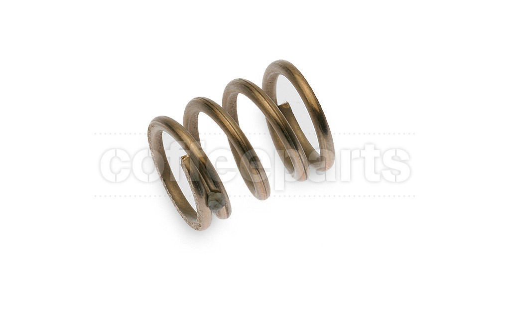 Valve spring