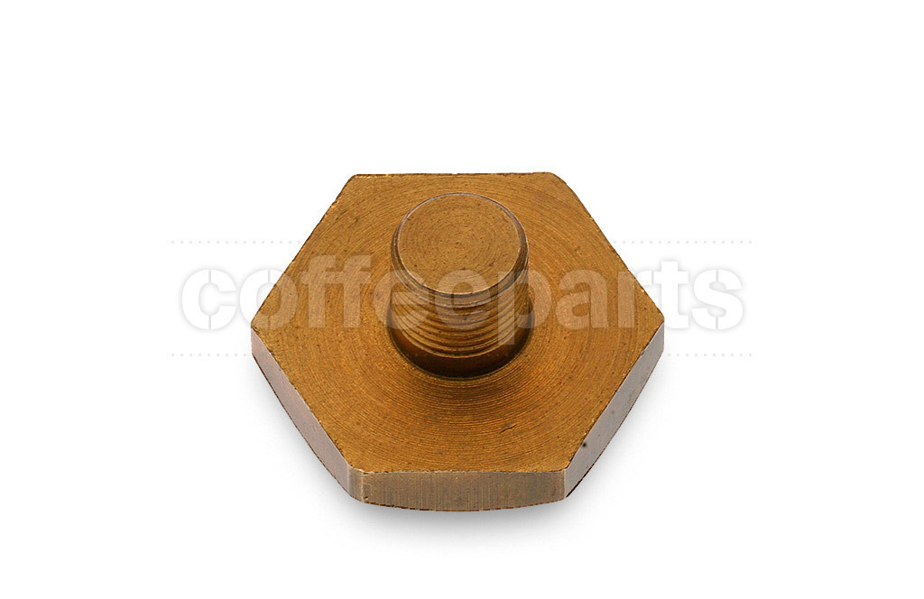 Fitting plug