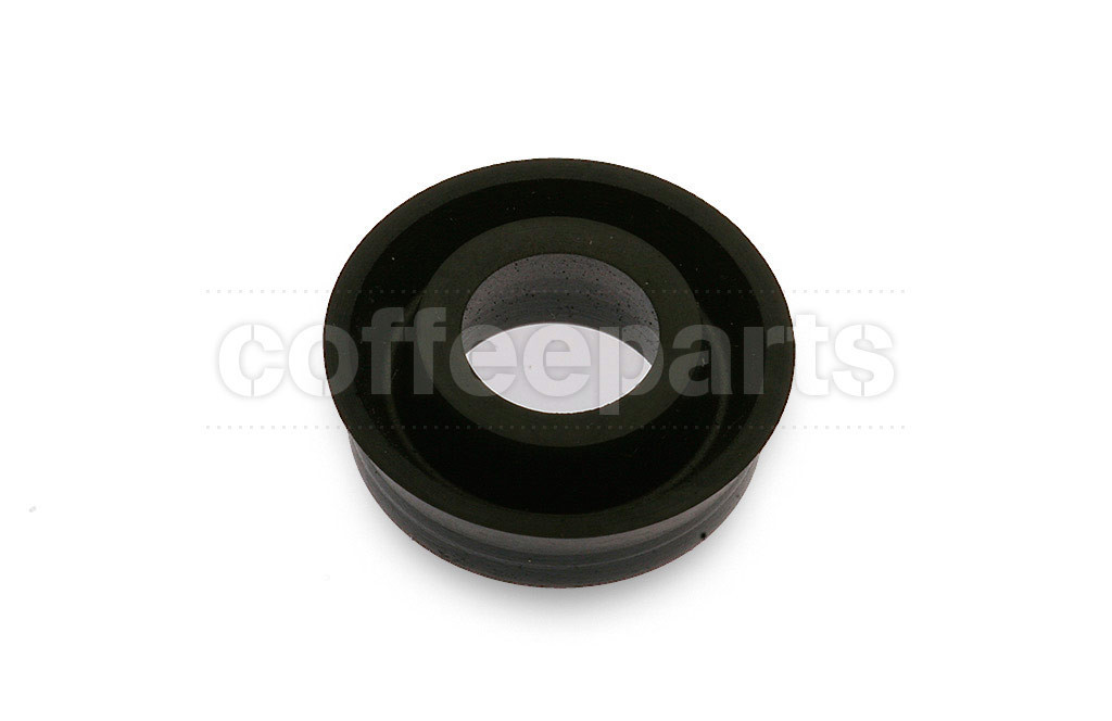 Steam valve gasket