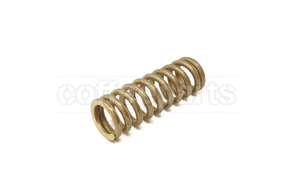 Stainless lever group spring
