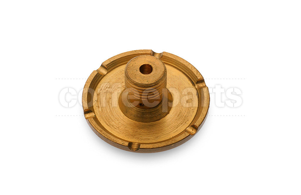Group steam tip with screw