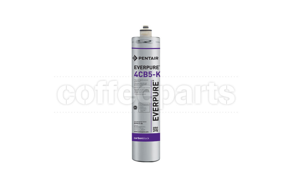 Everpure 4CB5-K Water Filter Cartridge (EV961736)