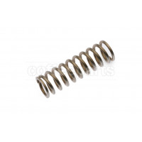 Steam valve spring