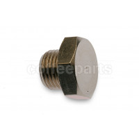 Brass fitting plug