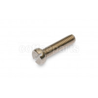 Stainless screw m5x20mm