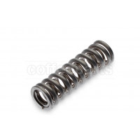 Piston spring set