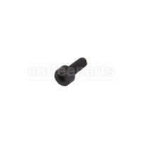 Anfim Spout Screw 4x16