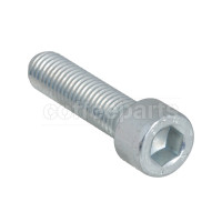 6X30 socket head S/Steel Bolt