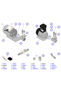 La Marzocco Linea Classic S Pump, Motor, Capacitor, Solid-State Relays & EMI Filter