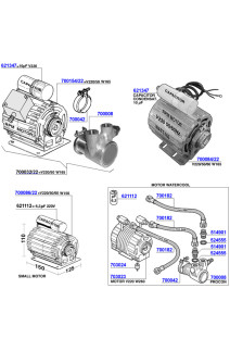 Leone - Motors and rotary pumps