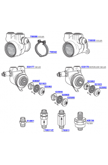 Rotary Pumps