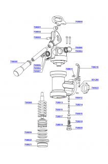 Pavoni - Lever group head