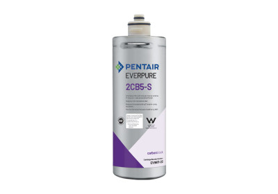 Everpure 2CB5-S Water Filter Cartridge (EV961722)