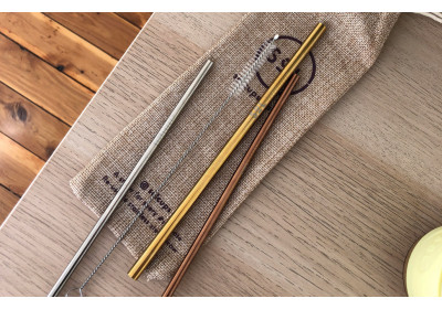 Sol Cup Stainless Steel Straw kit 