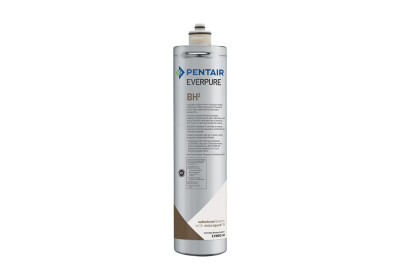 Everpure BH2 Water Filter Cartridge (EV961251)