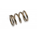 Steam valve spring