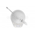 Brewista Artisan Kettle for brewing coffee or tea