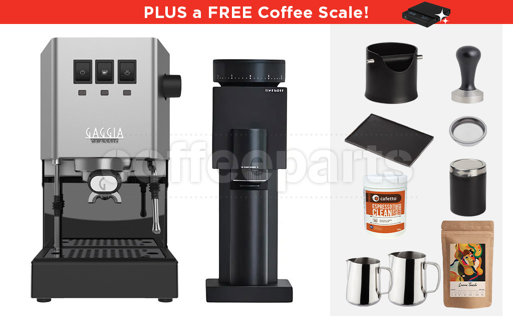 Gaggia Classic E24 Bricks 01S Espresso Machine Package: Silver